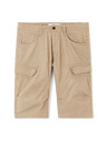 Celio Plátěné kraťasy Bocourtbm1 30 Celio