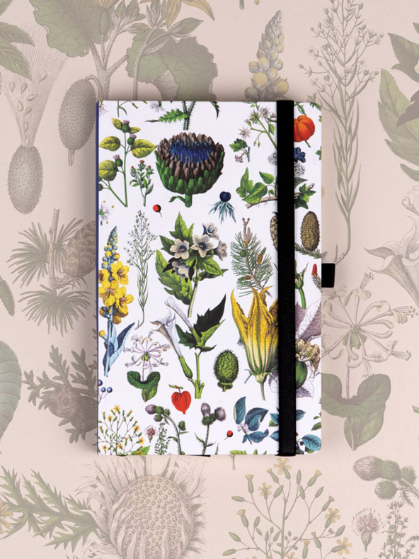 NOTIQUE NOTIQUE Notes Bylinky Kateřiny Winterové, tečkovaný, 13 x 21 cm