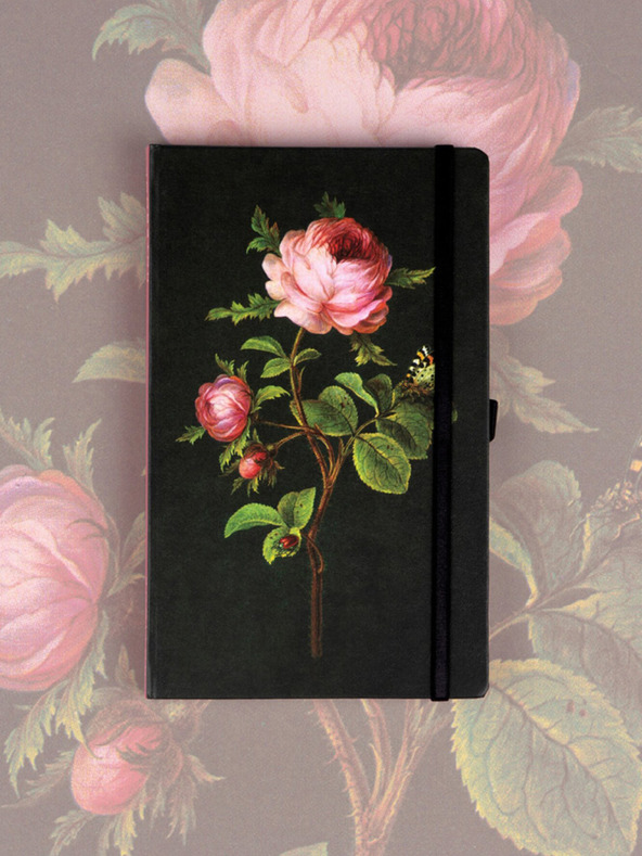 NOTIQUE NOTIQUE Notes Růže Kateřiny Winterové, tečkovaný, 13 x 21 cm