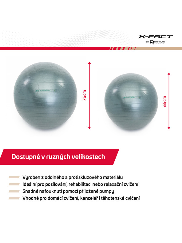 Worqout Míč Gym Ball 65 cm Worqout
