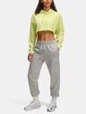 Under Armour Dámská mikina Under Armour UA Icon Terry Crop Hoodie