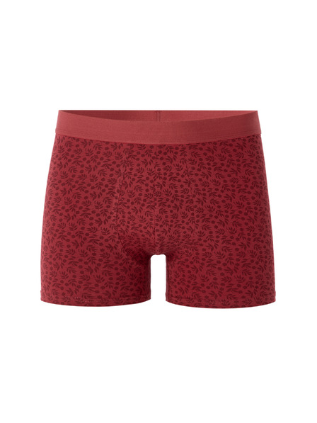 Celio Boxerky Miboflori