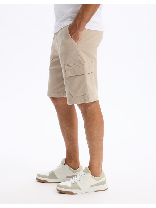 Celio Kraťasy Locargobm