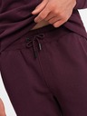 Ombre Clothing BASIC pánská bavlněná mikina BASIC bordó Ombre Clothing