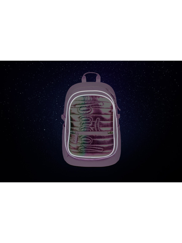 BAAGL  BAAGL Školní batoh Core Lavender