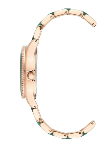 Anne Klein Dámské hodinky Anne Klein AK/3770GNRG