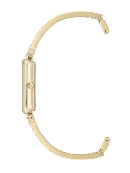 Anne Klein Dámské hodinky Anne Klein AK/3636TNGB