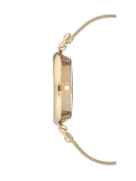Anne Klein Dámské hodinky Anne Klein AK/3000GNGB