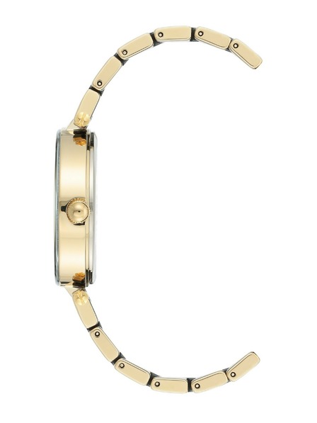 Anne Klein Dámské hodinky Anne Klein AK/3844BKGB