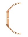 Anne Klein Dámské hodinky Anne Klein AK/3668NVRG