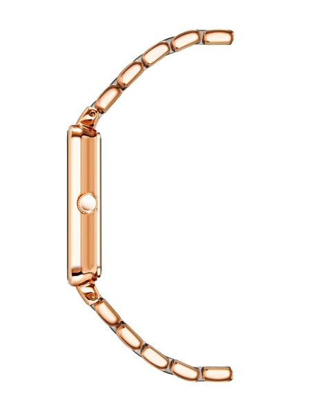 Anne Klein Dámské hodinky Anne Klein AK/3668NVRG