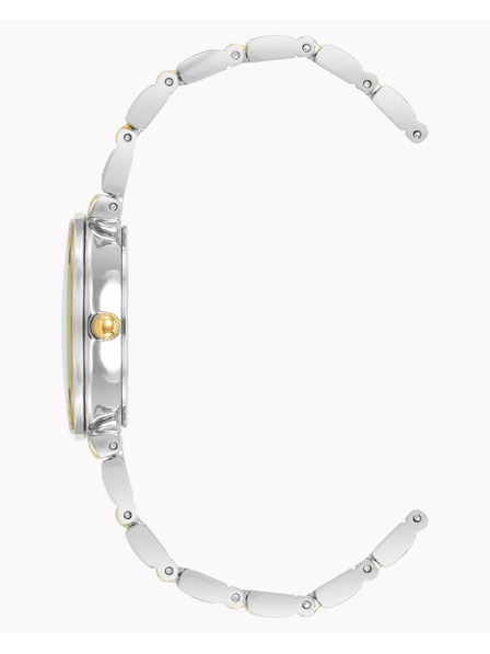 Anne Klein Dámské hodinky Anne Klein AK/2435SVTT