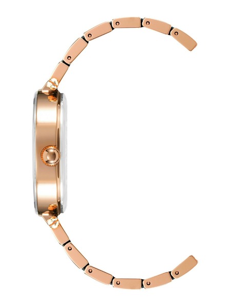 Anne Klein Dámské hodinky Anne Klein AK/3844NVRG