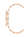 Anne Klein Dámské hodinky Anne Klein AK/3876GNRG