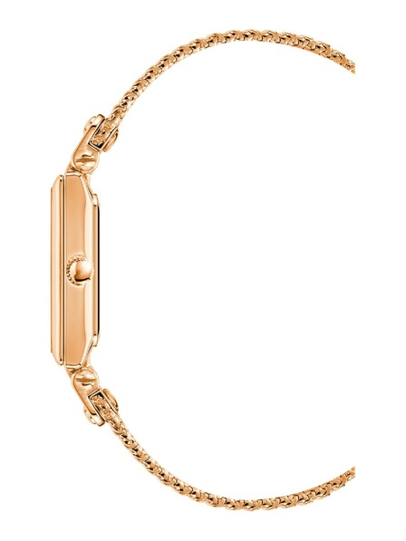 Anne Klein Dámské hodinky Anne Klein AK/3882RGRG