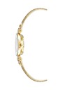 Anne Klein Dámské hodinky Anne Klein 10/9442CHGD