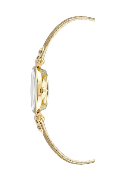 Anne Klein Dámské hodinky Anne Klein 10/9442CHGD