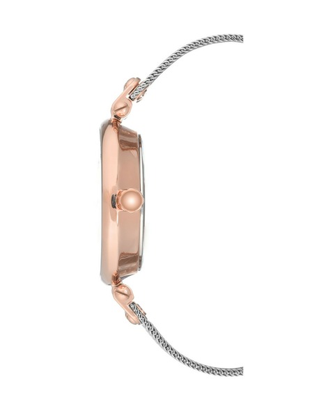 Anne Klein Dámské hodinky Anne Klein AK/3001SVRT