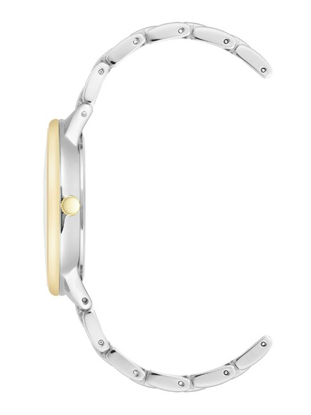 Anne Klein Dámské hodinky Anne Klein AK/3877SVTT