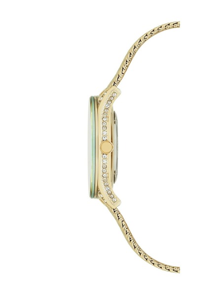 Anne Klein Dámské hodinky Anne Klein AK/2208CHGB