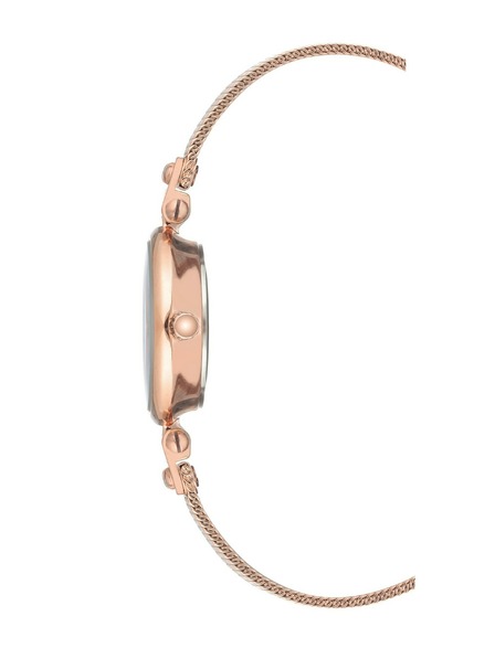 Anne Klein Dámské hodinky Anne Klein AK/3002RGRG