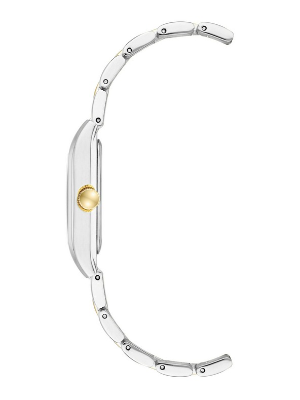 Anne Klein Dámské hodinky Anne Klein AK/3955SVTT