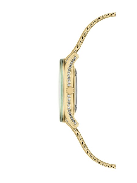 Anne Klein Dámské hodinky Anne Klein AK/2208TMGB