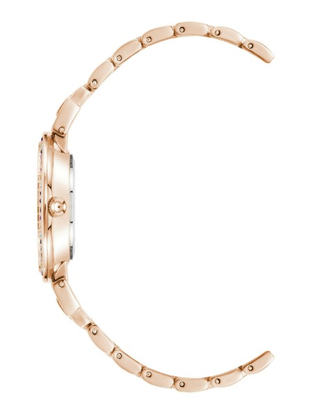Anne Klein Dámské hodinky Anne Klein AK/2928RBRG