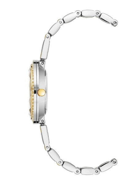 Anne Klein Dámské hodinky Anne Klein AK/3903SVTT
