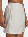 Under Armour Pánské kraťasy Under Armour UA Icon Volley Short-WHT