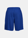 Under Armour Pánské kraťasy Under Armour Tech Mesh Short