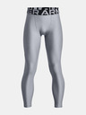 Under Armour Chlapecké legíny Under Armour UA HG Armour Leggings-GRY