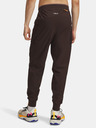 Under Armour Pánské sportovní kalhoty Under Armour UA TRAIL RUN PANTS-BRN
