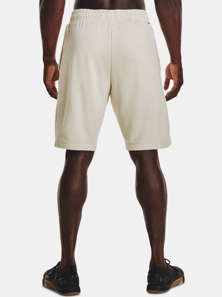 Under Armour Pánské kraťasy Under Armour UA ARMOUR TERRY SHORT