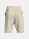 Under Armour Pánské kraťasy Under Armour UA ARMOUR TERRY SHORT