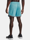 Under Armour Pánské kraťasy Under Armour Pjt Rck Penny Mesh Sts TG