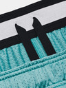 Under Armour Pánské kraťasy Under Armour Pjt Rck Penny Mesh Sts TG