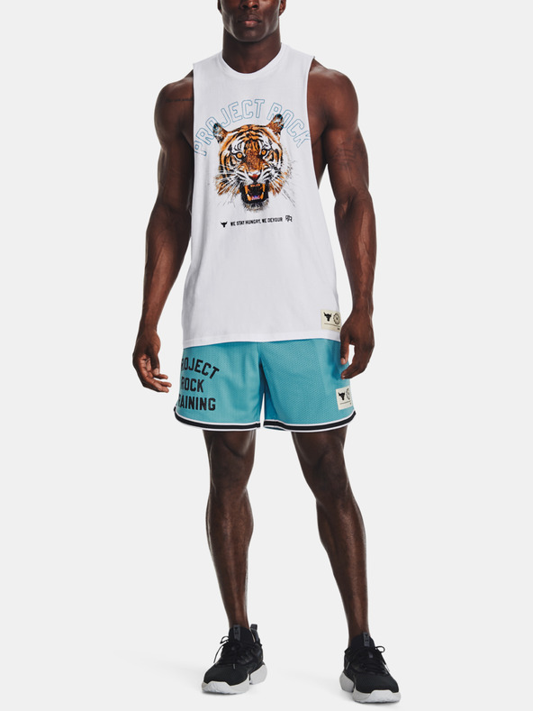 Under Armour Pánské kraťasy Under Armour Pjt Rck Penny Mesh Sts TG