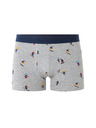 Celio Boxerky Miboski