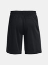 Under Armour Pánské kraťasy Under Armour UA BASELINE 10'' SHORT