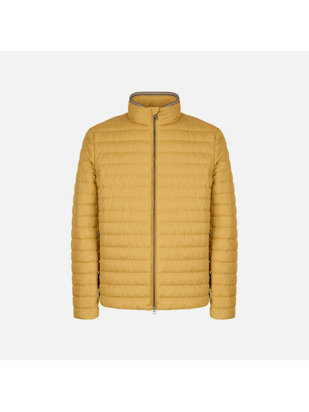 Geox Žlutá pánská péřová bunda Geox Warrens