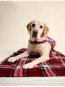 Marks & Spencer Tartanová deka pro domácí mazlíčky Marks & Spencer červená