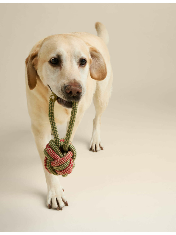 Marks & Spencer Hračka s koulí pro domácí mazlíčky Marks & Spencer zelená