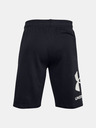 Under Armour Pánské kraťasy Under Armour Rival FLC Big Logo Shorts