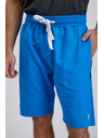 Sam 73 Modré pánské teplákové kraťasy SAM73 Euklas