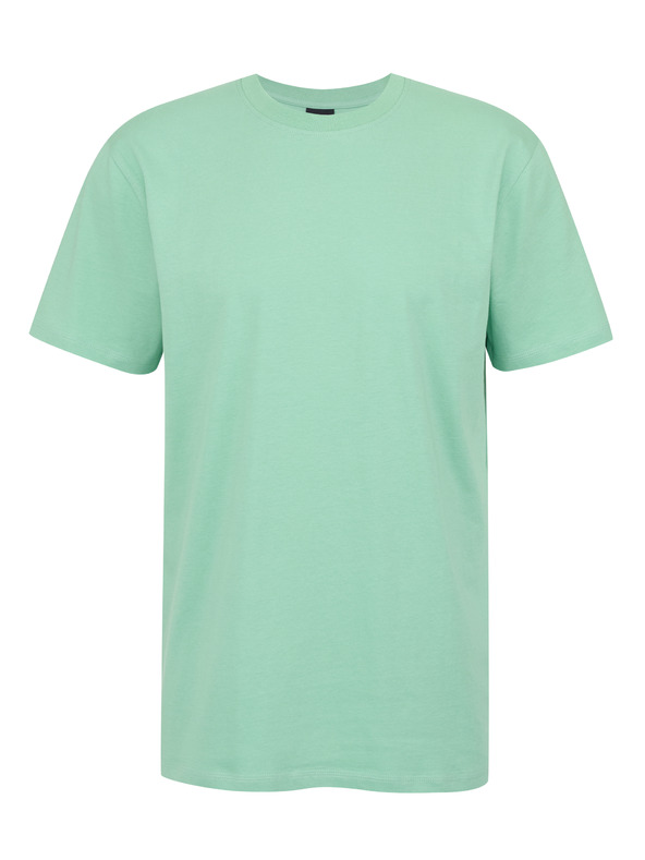 Sam 73 Světle zelené pánské tričko SAM 73 Goose
