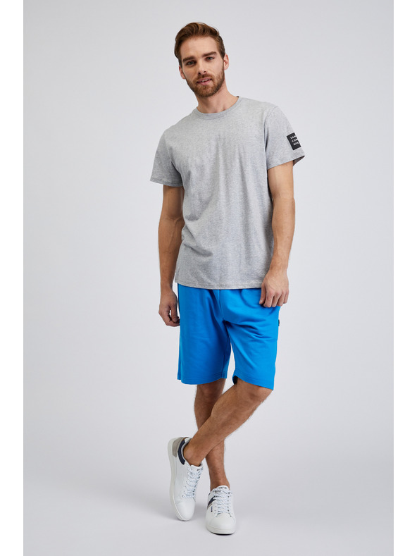 Sam 73 Světle šedé pánské žíhané tričko SAM 73 Freddie