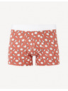 Celio Jiboshell Boxerky