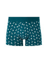 Celio Boxerky Jiboski Celio