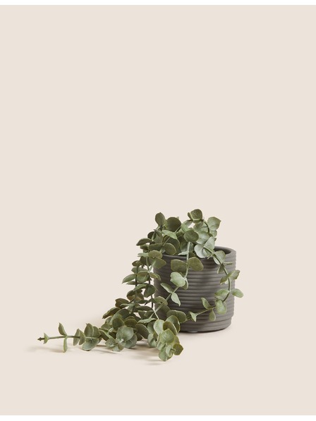 Marks & Spencer Umělý převislý svícník v betonovém květináči Marks & Spencer zelená